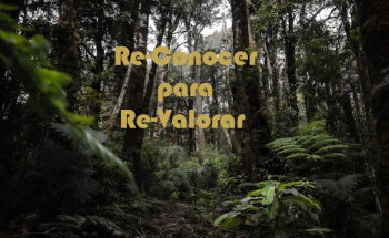 Werken Educa-Turismo