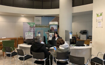 Viajes Falabella Valparaíso