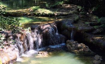 Taty Eventos & Turismo