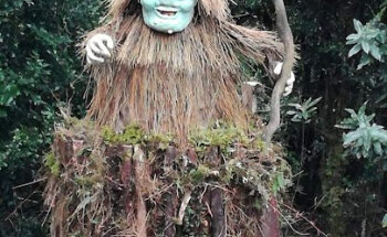 Ruta del Trauco - Chiloé