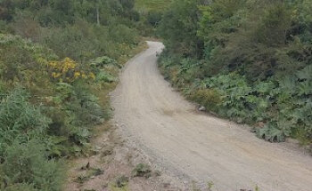 Experiencia Lemu - Chiloé