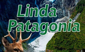 Linda Patagonia