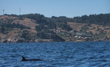 Turismo Chome Aventura