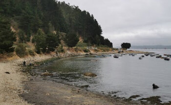 Embarcadero caleta lenga