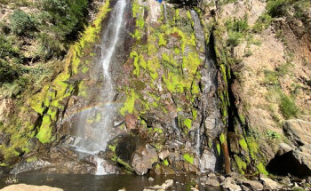 Excursiones Real de Minas