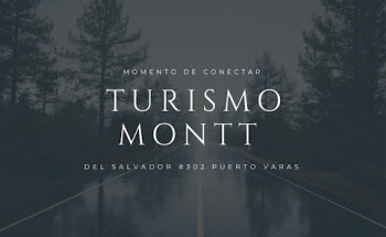 TURISMO MONTT