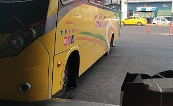 Terminal chico de san fernando