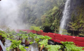 Tour a Termas Geométricas desde Villarrica, Pucón y Lican Ray