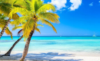 Auchan voyages Aubagne