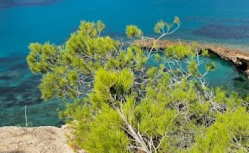 Agence Verdié Voyages