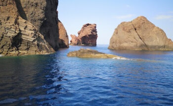 Agence de voyages Atout Nord ( adhérente TUI ).