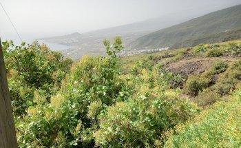 Viajes Samarines y Candelaria Life &Trekking