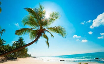 TW Voyages - Agence de voyage Carpentras