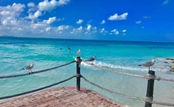 Best Day Galerías Acapulco