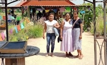 Margo Organizacion Turistica SA de CV