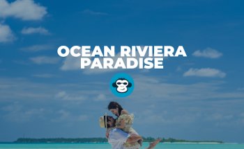 MONKEY TRIP Agencia de Viajes