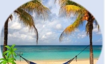 EXCURSIONES ANDREA BERMUDEZ