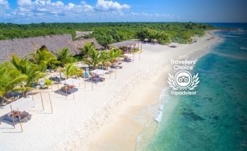 México Travel Solutions