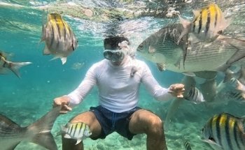 Agencia Corales Cartagenaa