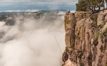 Chihuahua Al Pacifico Tours
