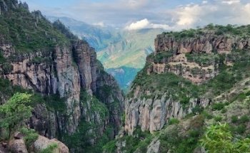 Chihuahua Extraordinario