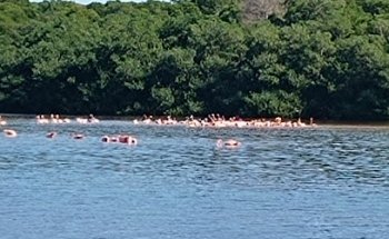 Geo Tours Agencia De Viajes