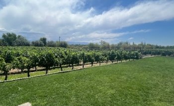 Mi viaje a Mendoza