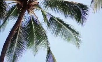 Empresa De Viaje Estudiantil Dask Travel