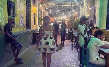 Agencia de Viajes Alestur Ltda