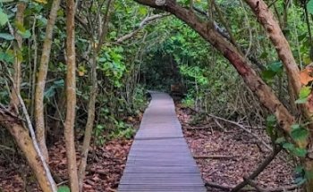 Santa Marta VIP Agencia de Viajes y Turismo