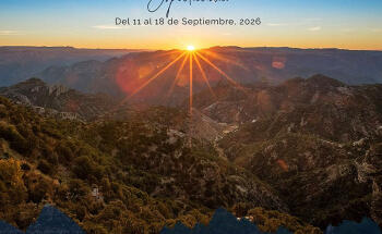 Lobato Tours