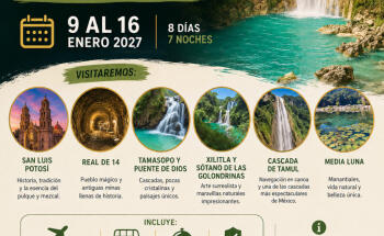 Lobato Tours