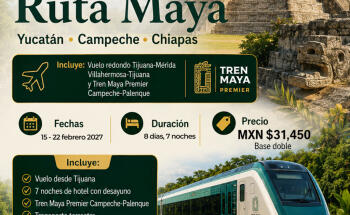 Lobato Tours