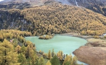 Viajes Mundiales Carrusel