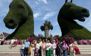 Seven Stars Travel and Tours