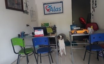 AGENCIA DE VIAJES Y TURISMO ALAS VT SAS