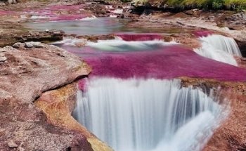 CANOCRISTALES.COM - Operador local de Caño Cristales en La Macarena - Agencia de Viajes