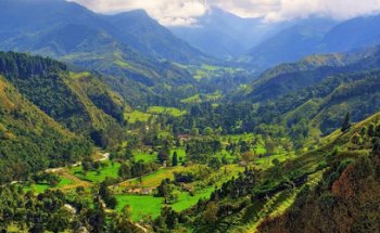 Central de turismo y eventos