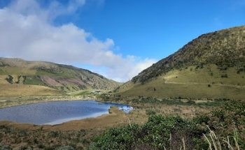 Alcon Tours - Agencia de Viajes en Pereira y Manizales