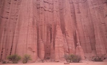 VGP Viajes/Flecha Turismo Estudiantil