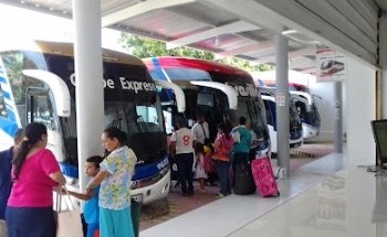 Agencia De Transportes De Magangue