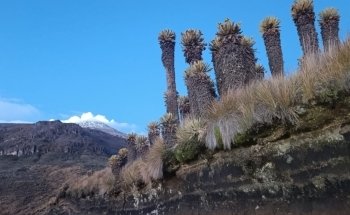 Routes and destinations in Colombia