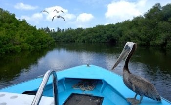 Agencia de Viajes King David