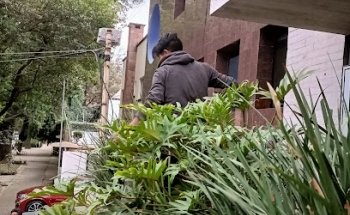 Felgueres Travel Group