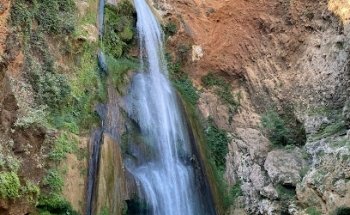 Agencia de Viajes Alebrijes Tours