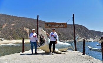 Viaja con Estilo Tours PV