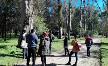 Vagabundos Viajes EVT