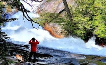 Wilderness Patagonia - Travel Company