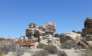 Turismo Bacur Leg 12551