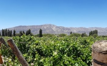 Money Tur Viajes Y Turismo